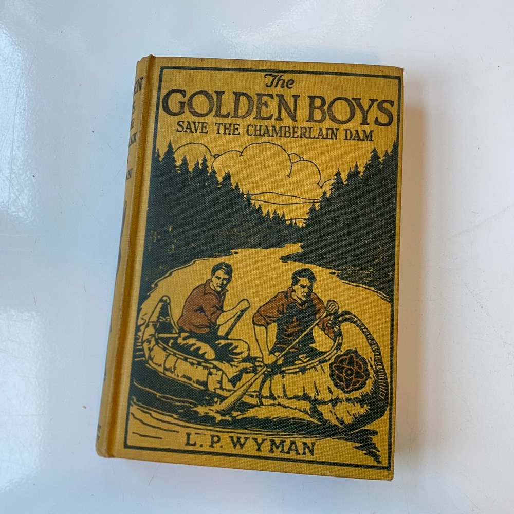 The Golden Boys Save the Chamberlain Dam L.P. Wyman A.L. Burt Hardcover Vintage